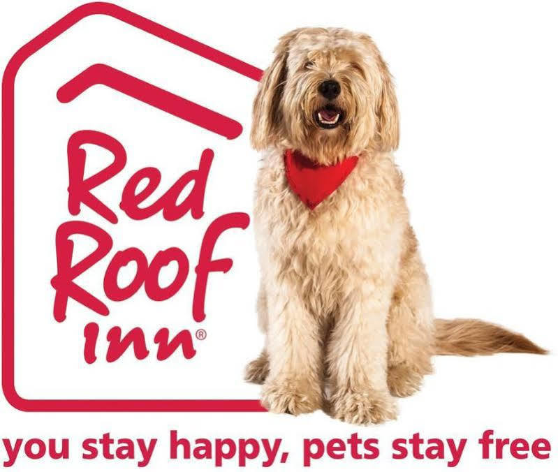 Red Roof Inn Akron Eksteriør billede